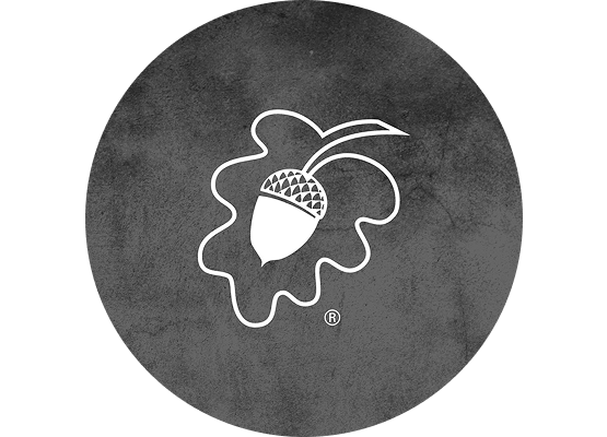 The Acorn